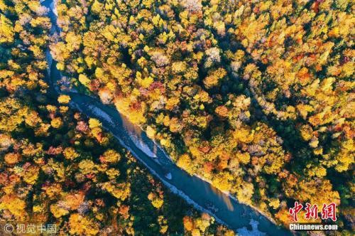 永盈会·[中国]官方网站