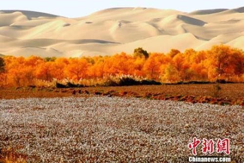 永盈会·[中国]官方网站