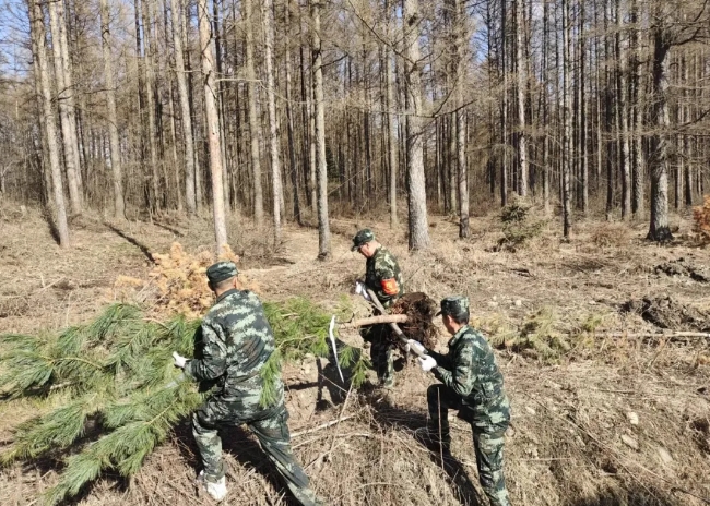 永盈会·[中国]官方网站