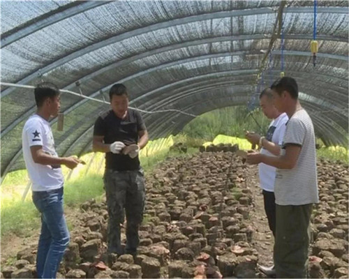 永盈会·[中国]官方网站