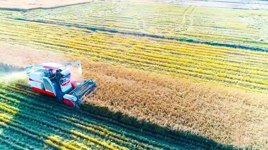 永盈会·[中国]官方网站