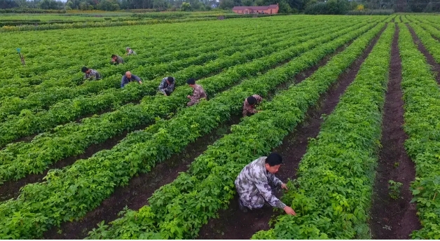 永盈会·[中国]官方网站