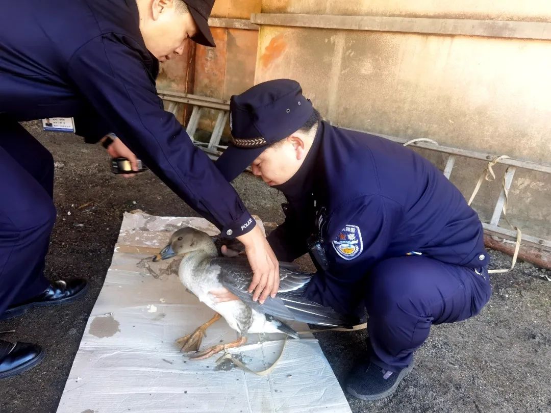 永盈会·[中国]官方网站