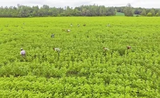 永盈会·[中国]官方网站